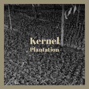 Kernel Plantation