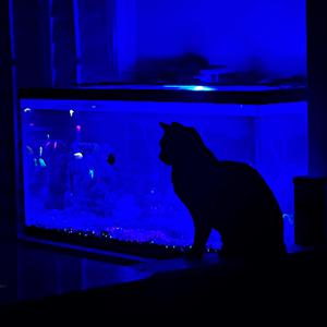 tell me everything will be okay