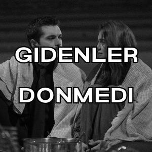 Gidenler Dönmedi