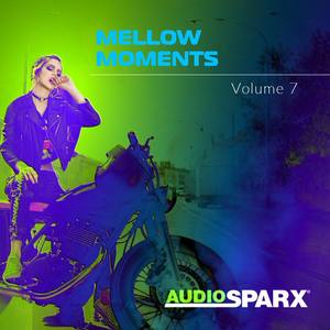 Mellow Moments Volume 7