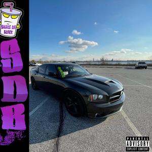 Shake Da Block (Explicit)