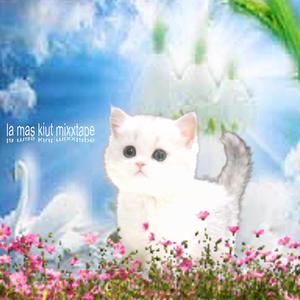 Kiut like papaleta (Explicit)