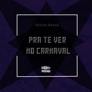 Pra Te Ver no Carnaval (Versão Banda)