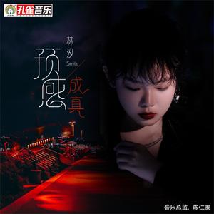 预感成真