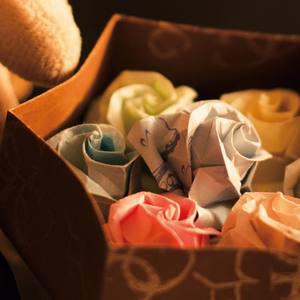 田さん(OP62 2018)