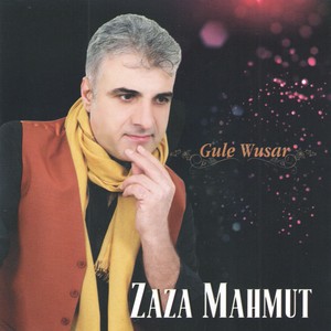 Gule Wusar (Bahar Gülü)