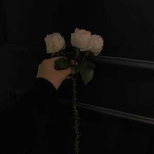 张贯昊 - Southeast