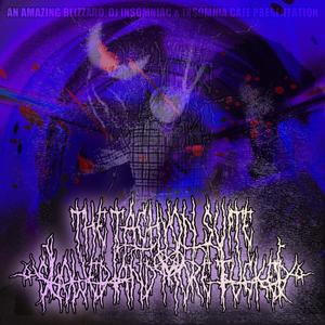 THE TACHYON SUITE: SLOWED AND MORE ****ED EP (feat. DJ INSOMNIAC, Ryan Benis, Chuck Pizzel & MOVIE NIGHT) (Explicit)