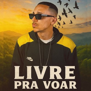 Livre Pra Voar