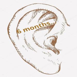 6 Months (Explicit)