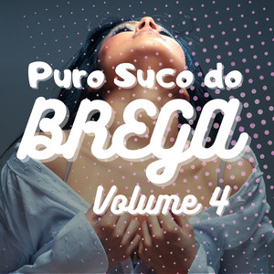 Puro Suco do Brega Vol.4