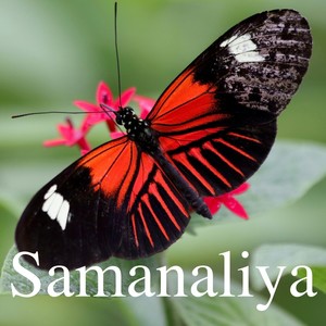 Samanaliya