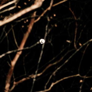 GHOST! (Instrumental)