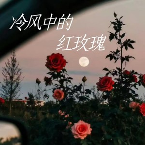 冷风中的红玫瑰-卡带森林