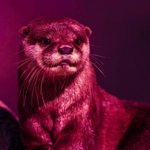 Ðегенда (prod. DJyungkim)