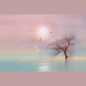 一人饮酒醉-MC阿阳