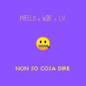 Non So Cosa Dire(feat. LV) (Explicit)