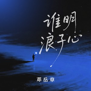 谁明浪子心 (DJ小男孩版)封面