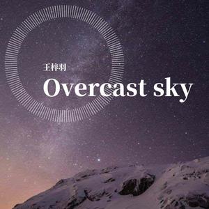阴天 王梓羽 (COVER版)