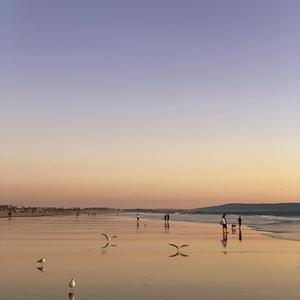 Children of the Sunset