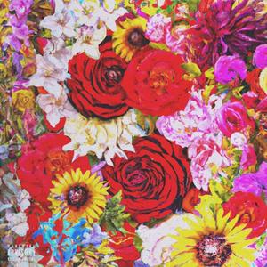 Flowers Vol.1 (Explicit)