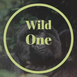 Wild One