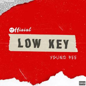 Lowkey (feat. Young bee)