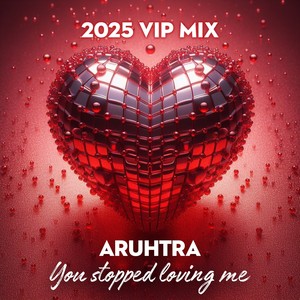 You Stopped Loving Me (2025 VIP Mix)