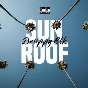 Sun Roof (Explicit)