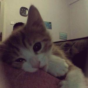 Phía Sau Một Cô Gái