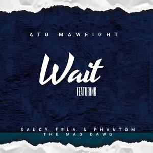 Wait (feat. Saucy Fella & Phantom The Mad Dawg) (Explicit)
