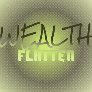 Wealth Flatten