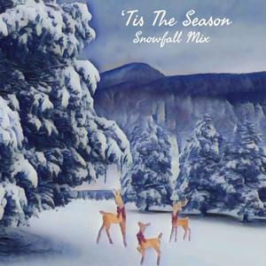 Tis The Season (Snowfall Mix)