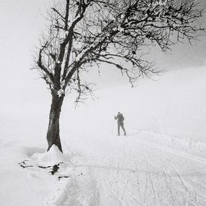 Pelligrosso (feat. DJ Leekay)