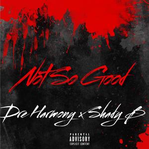 Not So Good (feat. Shady B) (Explicit)