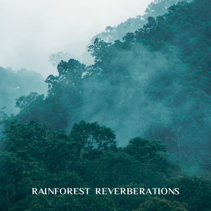 Rainforest Reverberations