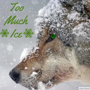 Too Much Ice (Explicit)