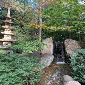 Uncomfortable (feat. M1ko) (Explicit)