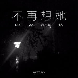 不再想她