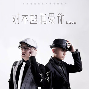 龙飞龙泽1983组合 - 对不起我爱你