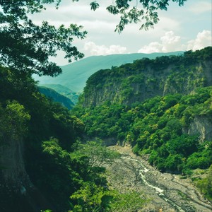 Las Hojas Volvieron para Nosotros Dos