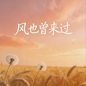 风也曾来过
