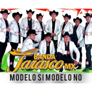 MODELO SI MODELO NO