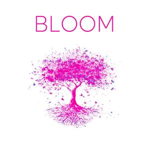 BLOOM (Explicit)