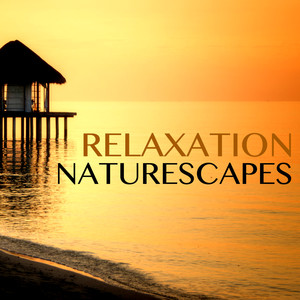 Relaxation Naturescapes - Rainforest Music Lullabies for Sweet Sleep & Deep Rest