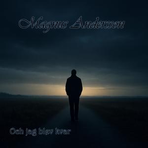 Det Sista Jag Såg Av Dig