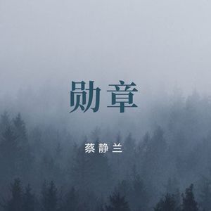 月色很美，我忘了说 (DJ版)