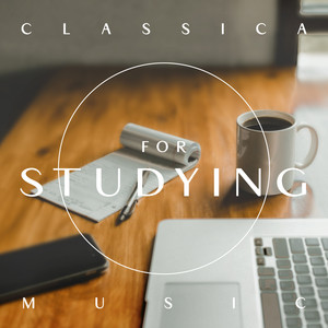 萨堤 - 金诺佩蒂丝