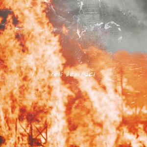 Self Destruct (Explicit)