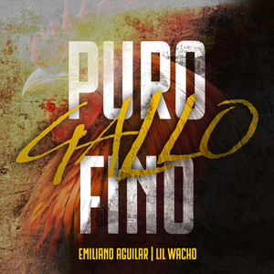 Puro Gallo Fino (Explicit)
